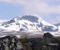 NP Dovrefjell Norsko, léto 2005
