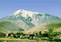 agri.gif (20914 bytes)