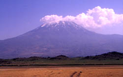 ararat.jpg (8391 bytes)