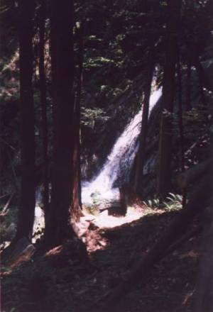 08.jpg (80130 bytes)