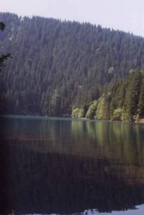 13.jpg (74243 bytes)