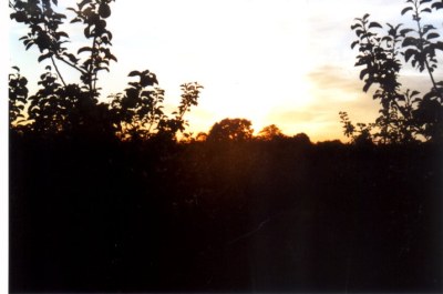 Západy slunce nás často zastihly uprostřed arboreta při posledním binu :-)