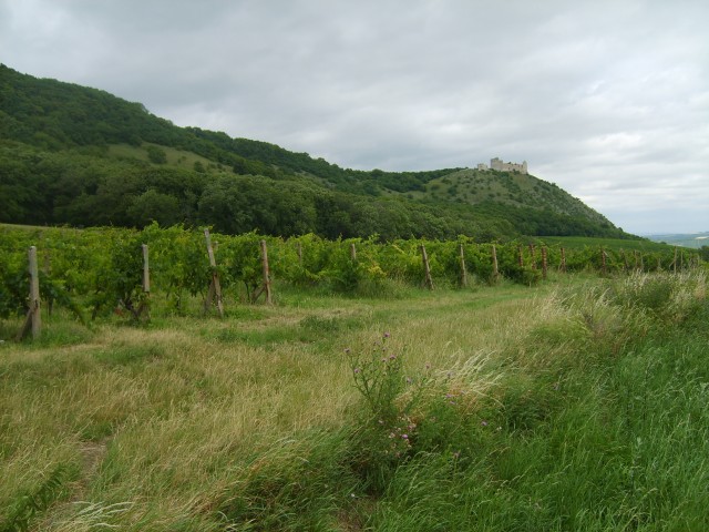 Jižní Morava na kole červenec 2007