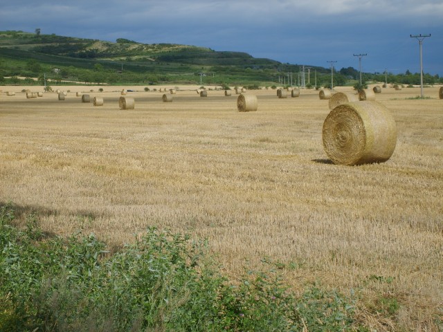Jižní Morava na kole červenec 2007