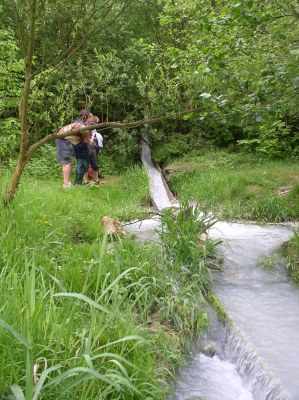 Přítok do nádrže nad Kliczkowem