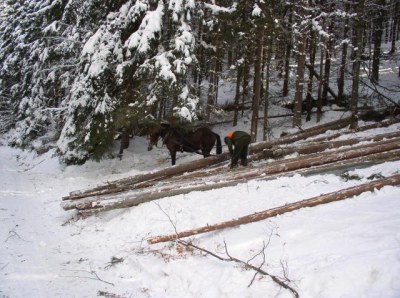 Muřáňská planina, Slovensko