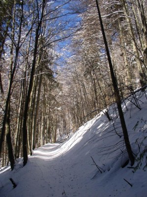 Muřáňská planina, Slovensko