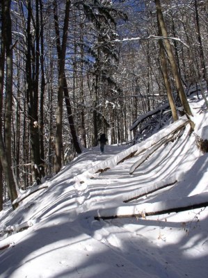 Muřáňská planina, Slovensko