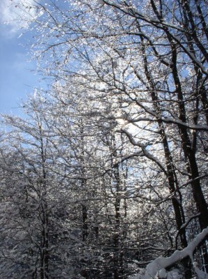 Muřáňská planina, Slovensko