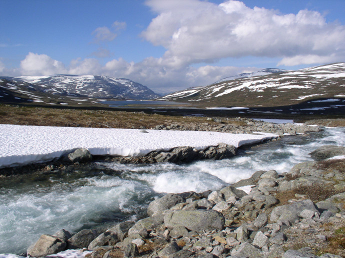 Dovrefjell - Skála,
 voda, vítr, led, slunce, život