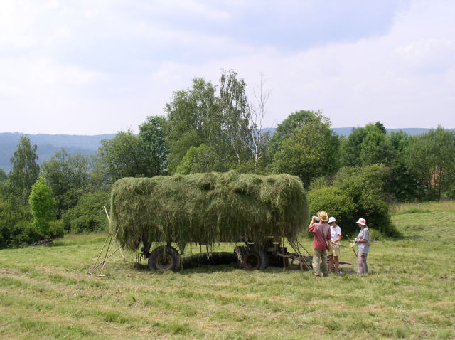 První den, první valník