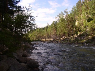Late afternoon towards the stream from Arshan