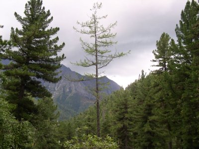Next day, walking up the valley
