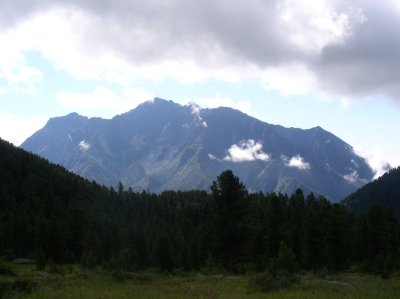 Alone Standing Majestacy