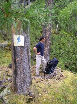 Orientation marks appears only sometimes one time a hour, usually it signs nonsense meaning like 20 degs. descent where there