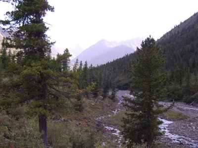 Birth of large river