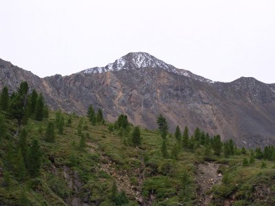 Where the snow starts