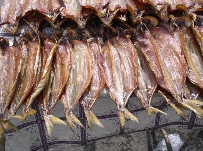 Smoked Omul fish in his best condition
