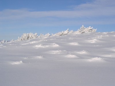 Zima