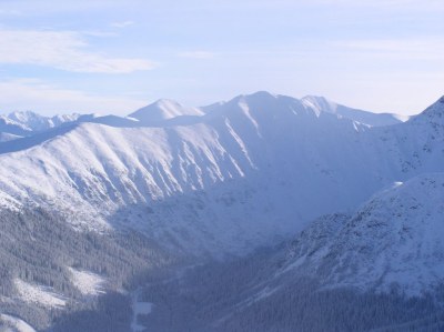 Žabot