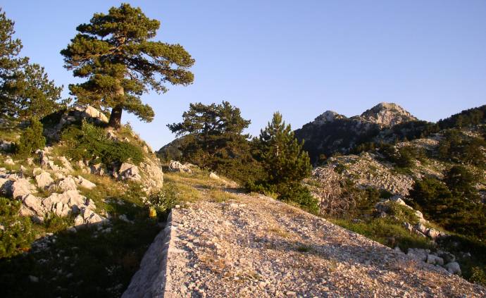 K sedlu Orinu, sever Černé Hory