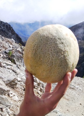 Mellon of mellons. Kick to carry and bring out this mellon via peaks of Andes was done.