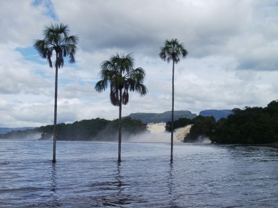 Canaima - Plage de tres palmas (sure, highlighted on any showcard)