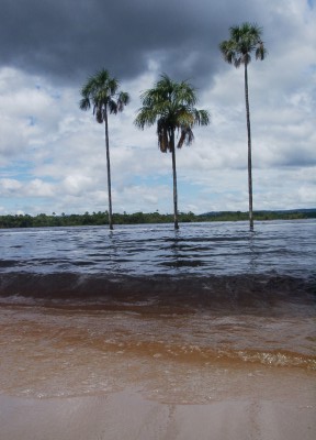 Plage with dark water
