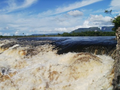 The color of water is caused by acidity from humus and acidity protects from mosqito