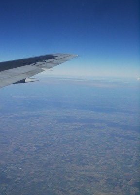 Wing 2
