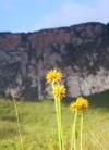 Stolová hora Roraima